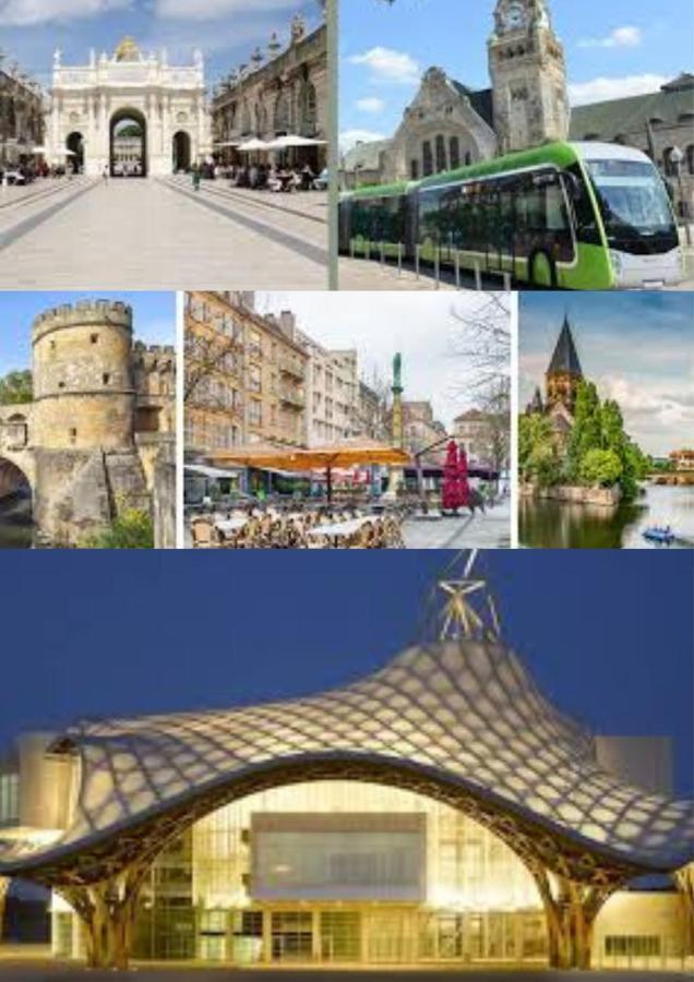 Le Muse Quartier Ville Proche Transport Parking Prive Un-Sejour-A-Part Metz Exteriör bild